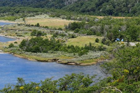 Parque Nacional Tierra del Fuego: la guía definitiva para visitarlo desde Ushuaia