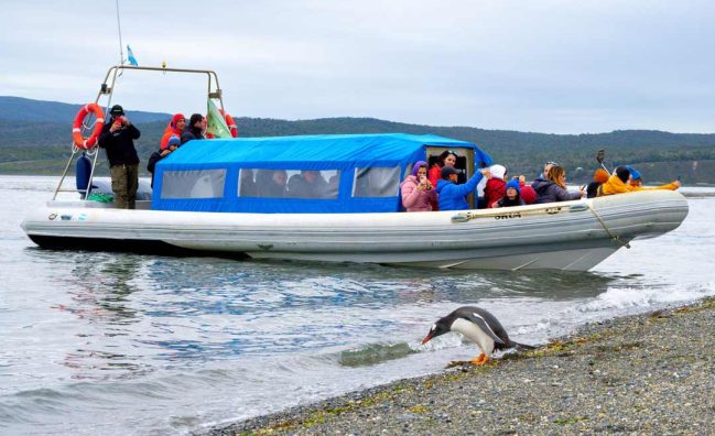 PAQUETE USHUAIA Almanza y Pinguinos – 3 o 4 días