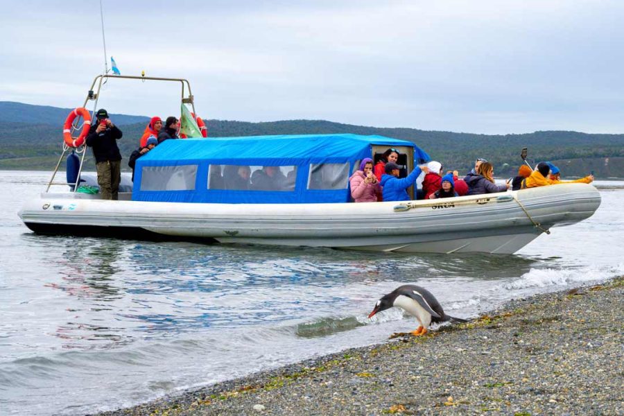 USHUAIA Itinerary Almanza & Penguins – 3 or 4 days