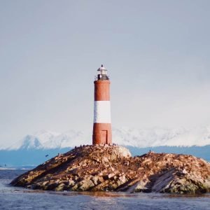 Navegación por el Canal Beagle en Catamarán