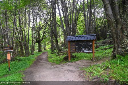 Trail to the Beban Waterfall – Ushuaia, Tierra del Fuego
