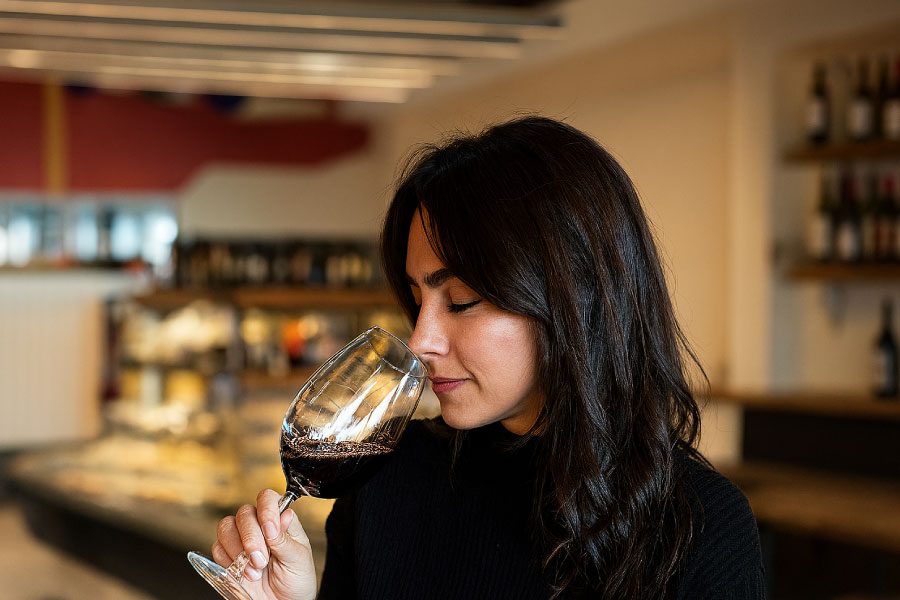 Shore Excursion City and wine